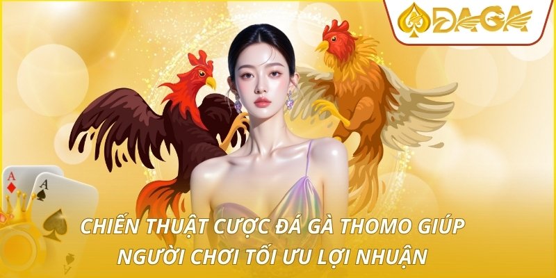 Chiến thuật cược đá gà thomo giúp người chơi tối ưu lợi nhuận