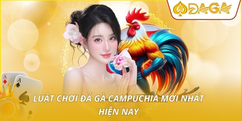 Đá Gà Campuchia - Quy Mô Trường Đấu Và Chiến Thuật Đặt Cược 3 Luật chơi đá gà campuchia mới nhất hiện nay