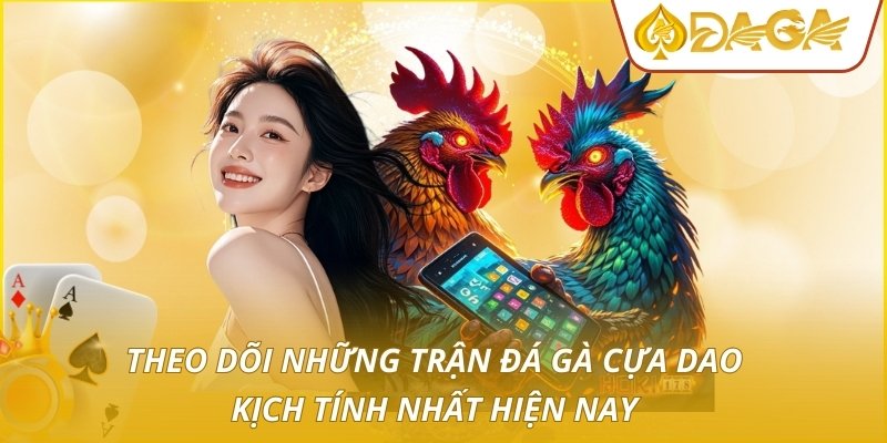 Theo dõi những trận đá gà cựa dao kịch tính nhất hiện nay