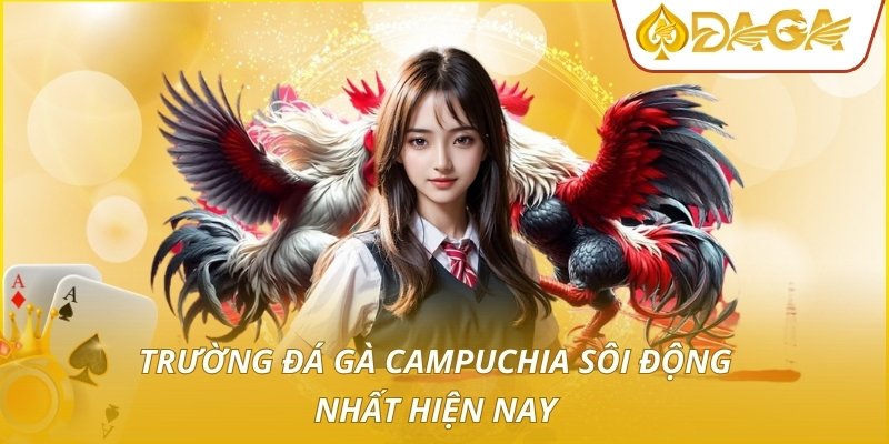 Đá Gà Campuchia - Quy Mô Trường Đấu Và Chiến Thuật Đặt Cược 2 Trường đá gà campuchia sôi động nhất hiện nay