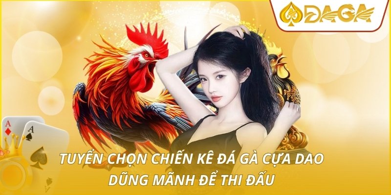 Tuyển chọn chiến kê đá gà cựa dao dũng mãnh để thi đấu