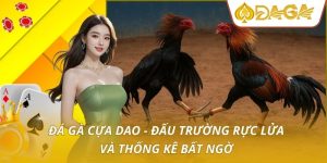 đá gà cựa dao