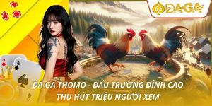 đá gà thomo